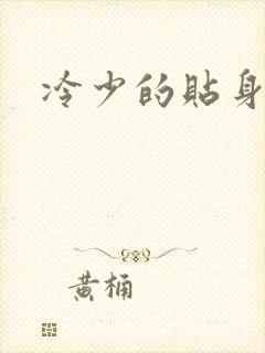 冷少的贴身女人