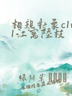 相亲对象c1v1江寓陆枝