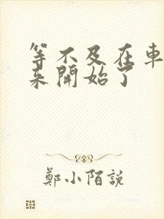 等不及在车里就来开始了