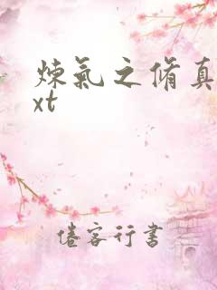 炼气之修真者txt