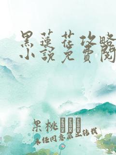 黑莲花攻略手册小说免费阅读全文