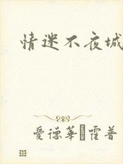 情迷不夜城