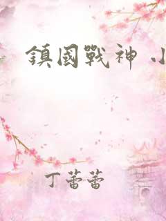 镇国战神 小说
