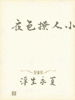 夜色撩人小说