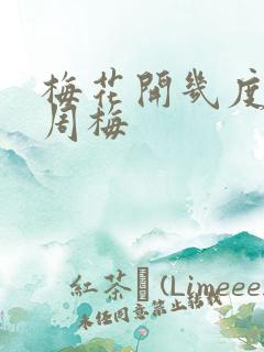 梅花开几度老张周梅