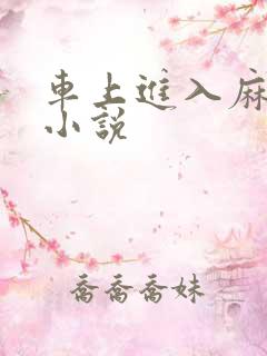 车上进入麻麻的小说