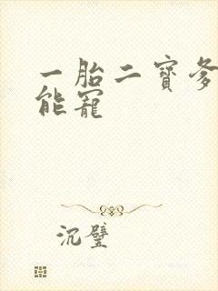 一胎二宝爹地超能宠