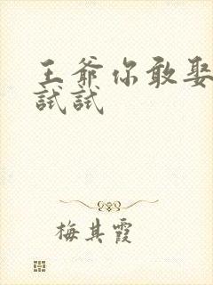 王爷你敢娶小三试试