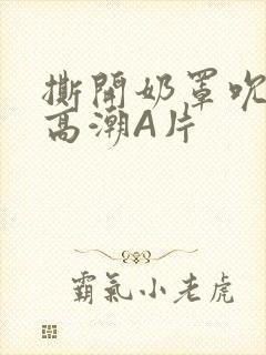 撕开奶罩吮奶头高潮A片