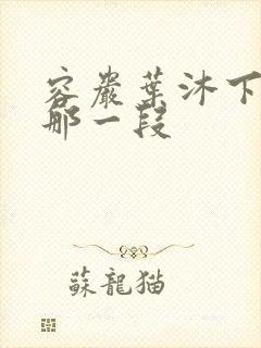 容岩叶沐下楼梯那一段