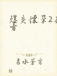 爆炎怀孕2在线看