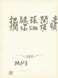 把腿张开老子臊烂你sm视频