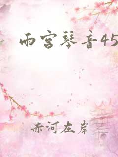 雨宫琴音45部