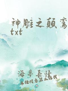 神雕之颠鸾倒凤txt