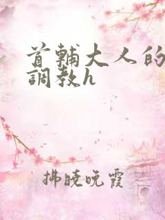 首辅大人的花式调教h