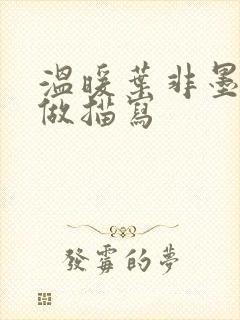 温暖叶非墨车内做描写