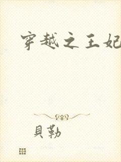 穿越之王妃有孕