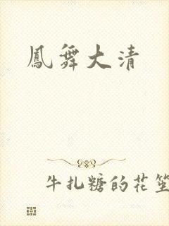 凤舞大清