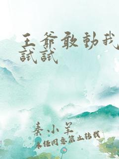 王爷敢动我妈咪试试