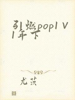 引燃pop1∨1年下