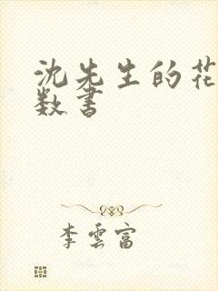 沈先生的花式调数书