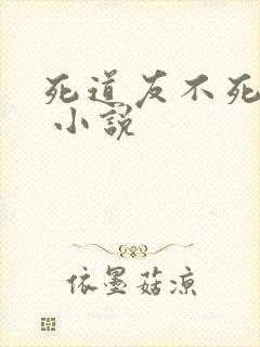 死道友不死贫道 小说