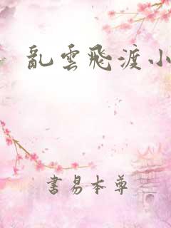 乱云飞渡小说