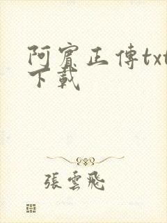 阿宾正传txt下载