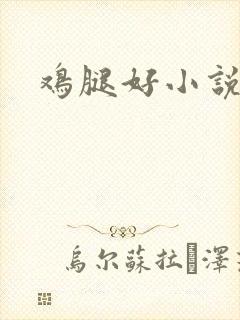 鸡腿好小说网