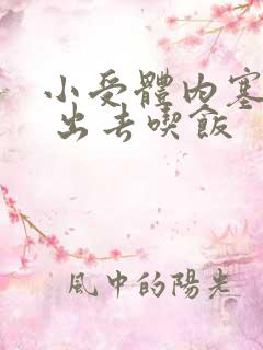 小受体内塞东西 出去吃饭