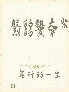 朕的粗大紫红猛烈的贯穿