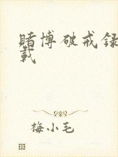 赌博破戒录 下载