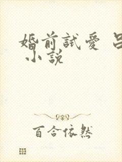 婚前试爱 吕颜 小说