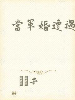 当军婚遭遇爱情