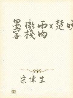 墨微雨x楚晚宁客栈肉