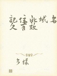 记住此域名记永久有效