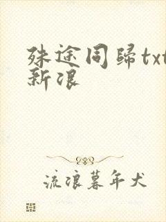 殊途同归txt新浪