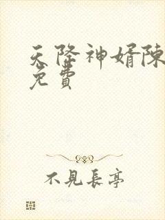 天降神婿陈黄皮免费