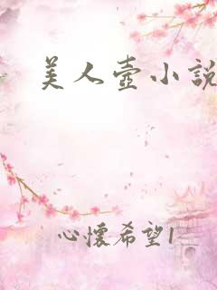 美人壶小说