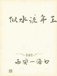 似水流年王小波