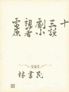 电视剧三十而已原著小说