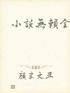 小说无赖金仙