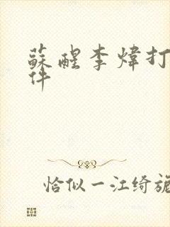 苏醒李炜打架事件