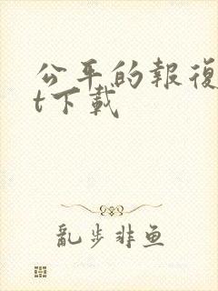 公平的报复txt下载