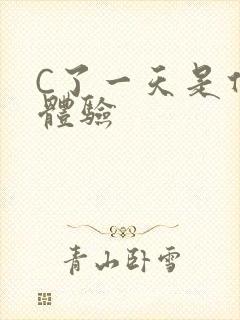 C了一天是什么体验