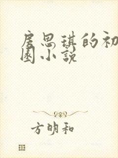 房思琪的初恋乐园小说