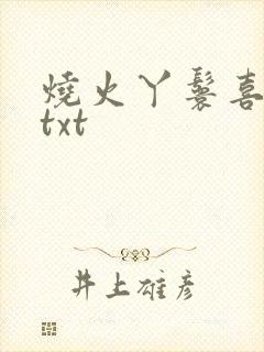 烧火丫鬟喜洋洋txt