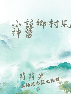 小说乡村风流小神医