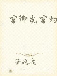 宫卿岚宫灼小说