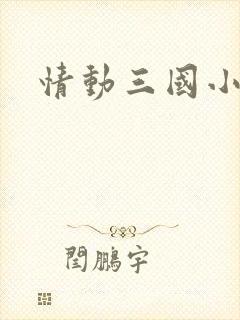 情动三国小说